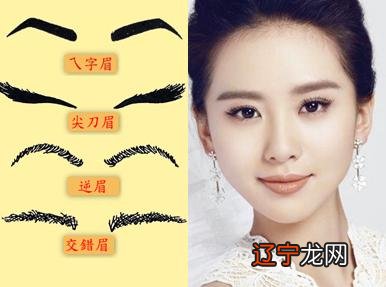 傻大方小编:不同人的眉毛看出个人的福气!