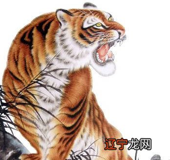 属虎人出生月、日、时的命运