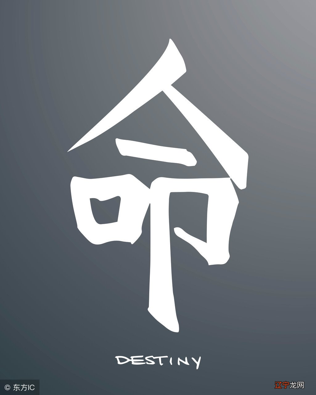 用命运密码灵数提升你的好运!