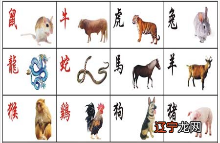 麦玲玲：2022年12生肖运程分析，犯太岁生肖要注意什么？