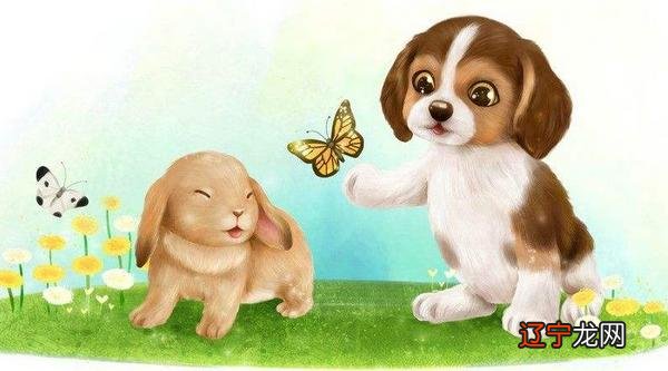 2018年 属狗的今年多大 属狗今年运势如何(财运、姻缘)