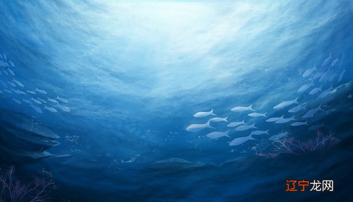 梦见用手抓小鱼