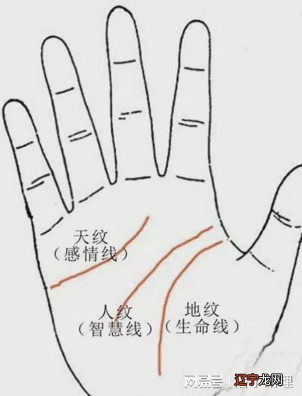 男人看手相是看左手还是右手，女人看手相是看左手还是右手