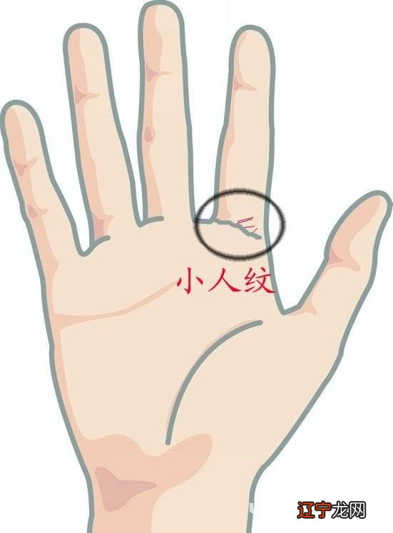 男人看手相是看左手还是右手，女人看手相是看左手还是右手