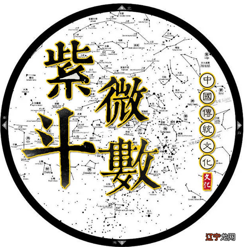 紫薇星盘详细解析 星盘新浪紫薇