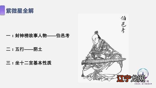 紫薇星盘详细解析 星盘新浪紫薇