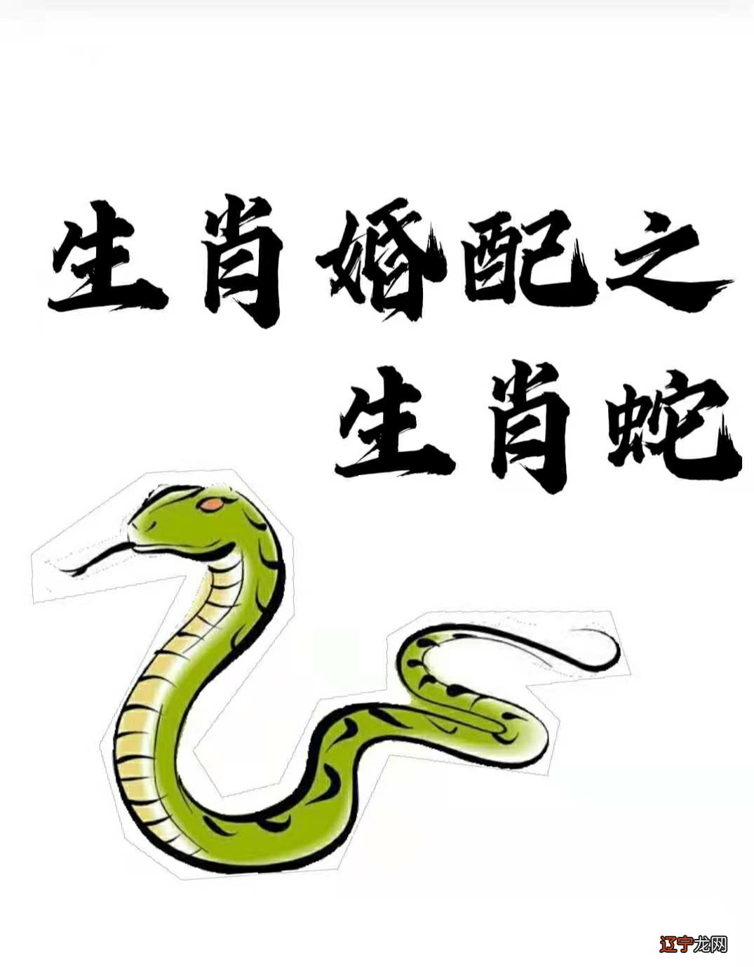 蛇属相配什么属相好_属蛇和什么属相最配_一家三口属相蛇兔配对表