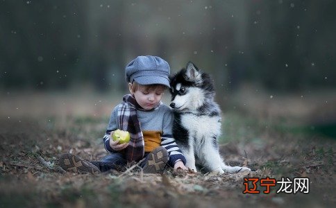 詹姓男孩五行缺木起名字大全-尚名网