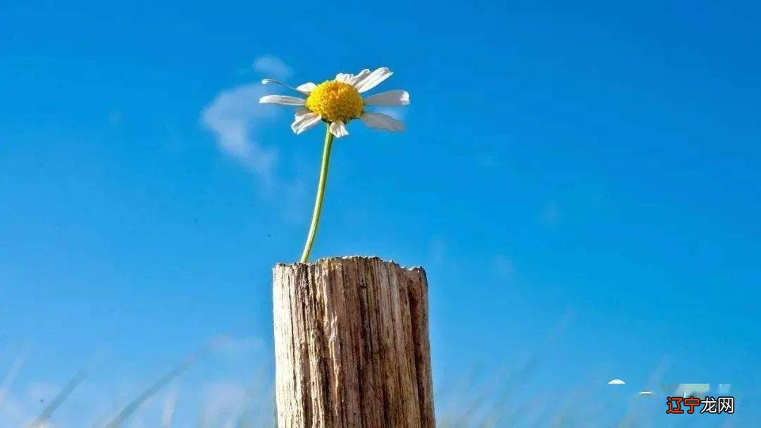 此文改变了10万+人的运气 纯干货：我是如何交上好运的？