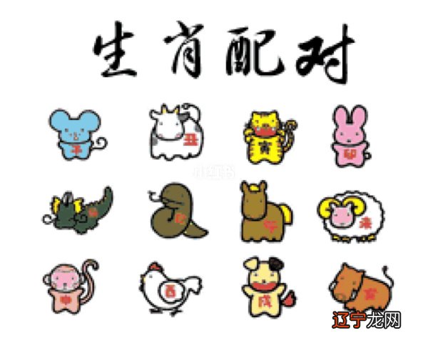 什么生肖和蛇相配 属蛇人最配的生肖