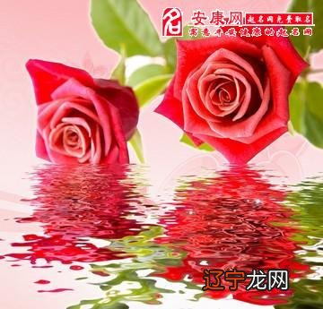 慈世堂:梦见鲜花盛开,预示你会交好运和发财