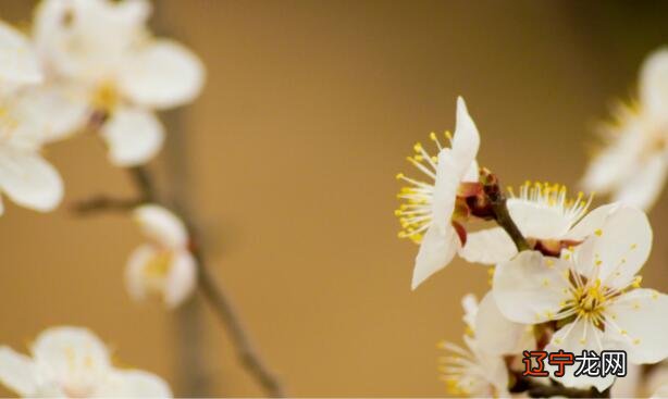 2021立春是哪一天几点几分几秒 2021立春时间是什么时候