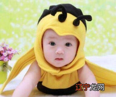 11年属啥,11年属什么生肖多少岁