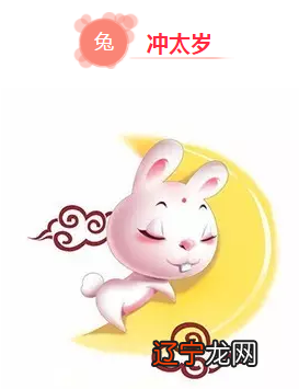 11年属啥,11年属什么生肖多少岁