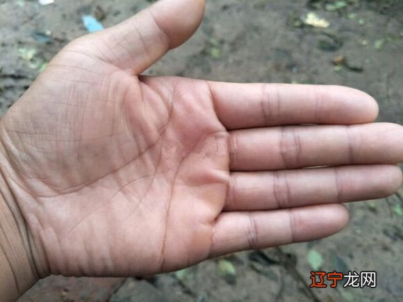 手相没有婚姻线预示着什么呢？