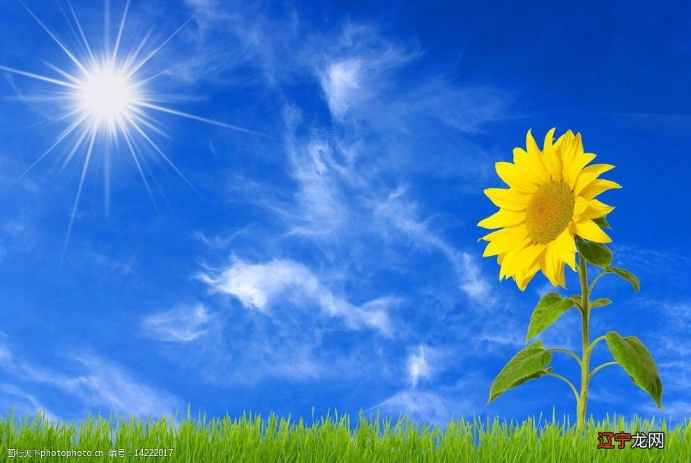 哪几个星座做男朋友很一般,做朋友倒是不错!