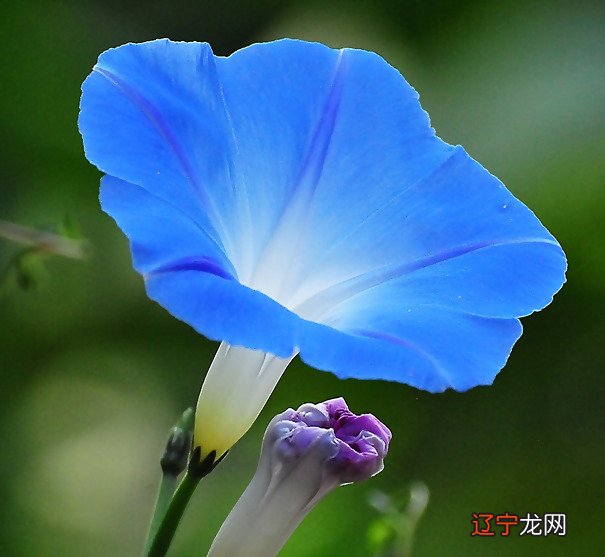 哪几个星座做男朋友很一般,做朋友倒是不错!