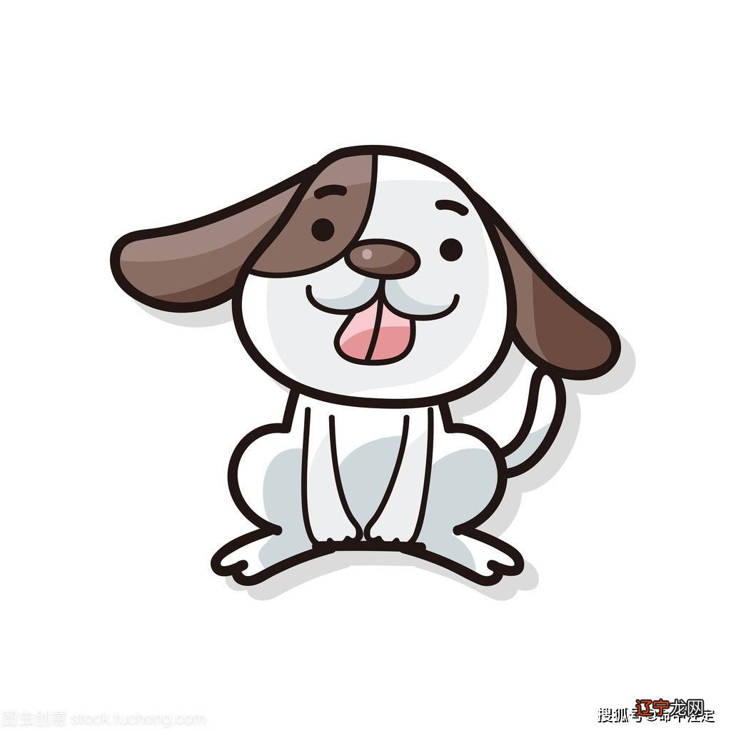 2021, 4个生肖,茫茫人海中终于与你相遇!