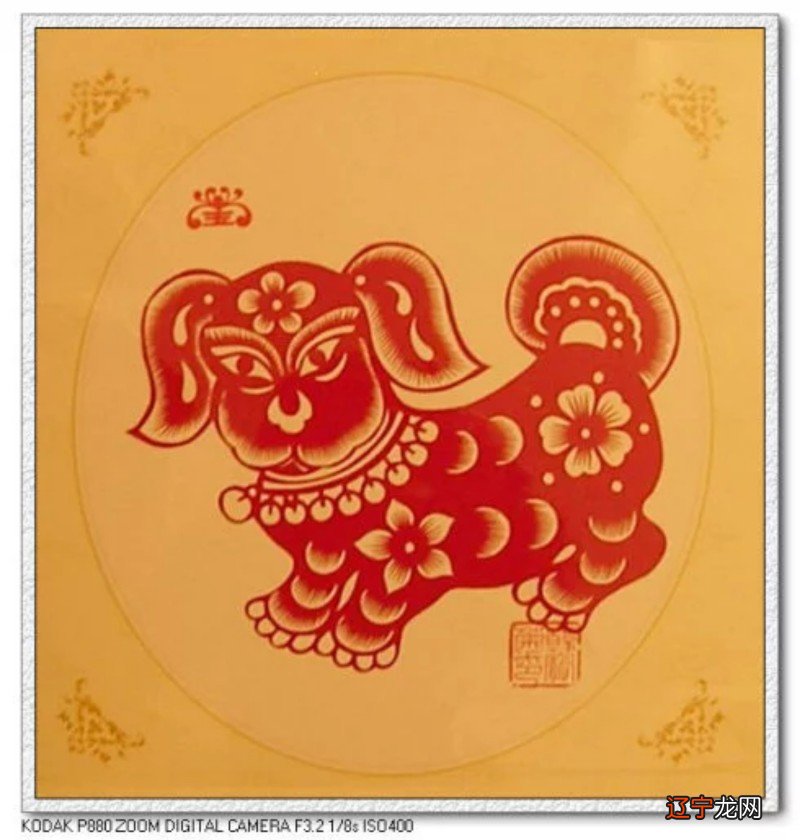 组图 生肖属狗的人起名不适合用的文字