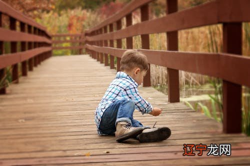 凌姓男孩名字大全属虎_用字分析