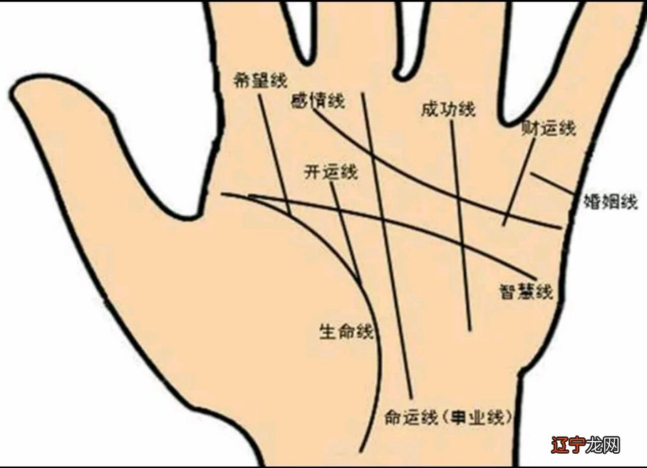 手掌纹很乱代表什么?是我们过传统算命方法的