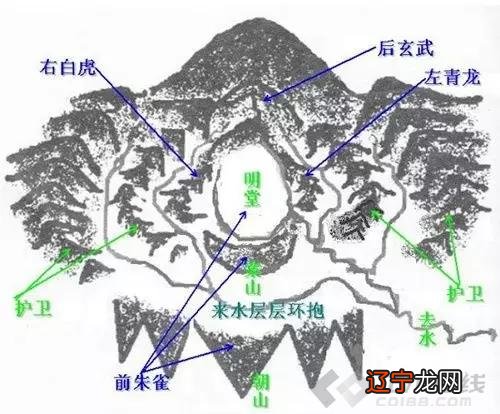 中国传统文化当中的四大神兽:朱雀玄武、青龙、白虎
