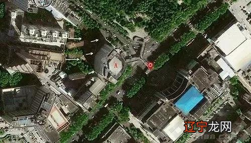 中国传统文化当中的四大神兽:朱雀玄武、青龙、白虎