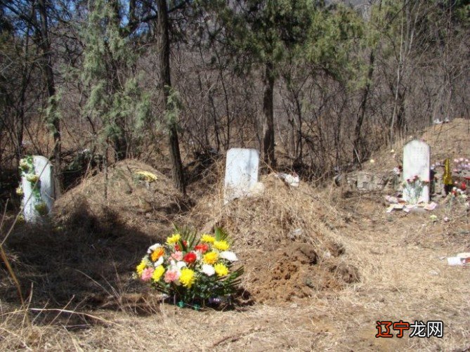 清明节是几月几号_11月11号光棍节活动主持稿_11月11号光棍节