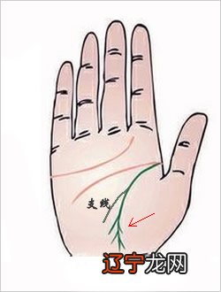 智慧线分叉至情感线_生命线分叉_生命线爱情线事业线分叉图解