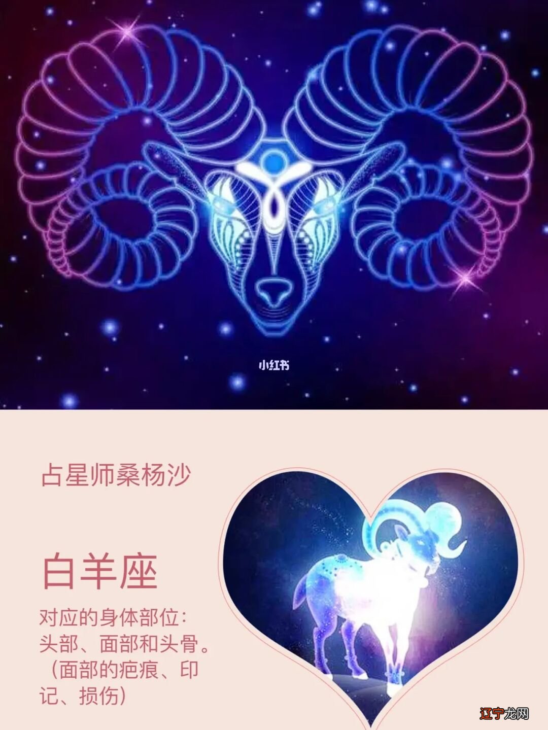 十二星座 四象_四象星座的老大_四象星座克制