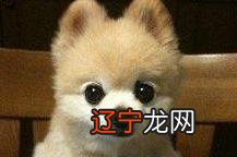 占卜星星 当有个好的感情归宿和一个好工作你会选择什么？