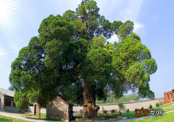 住宅选址在风水学上有什么讲究