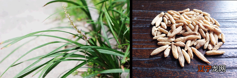 【SELF论道讲坛】在现代医学盛行的当下，传统中医一直是科学界