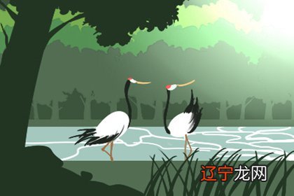 风水堂:四柱八字学习可以看什么书?