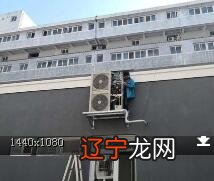 水瓶座女和什么座最配