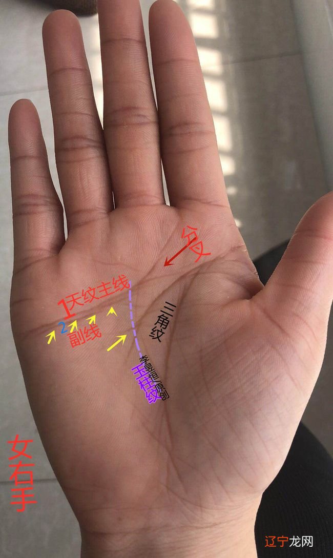 女人右手生命线很短命运好吗