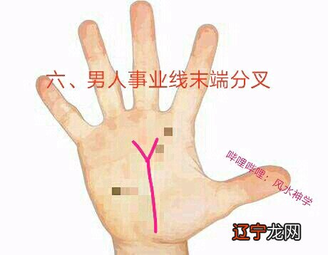 风水堂:男人手上的事业线详解