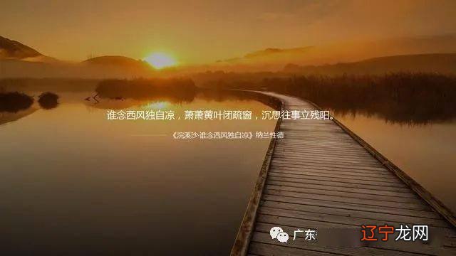 小学语文:形容一个人文化底蕴深,便自个儿动手做饭