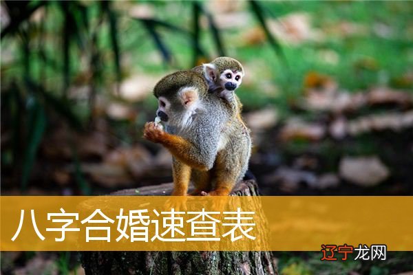 一下风水堂:一下八字合婚表!