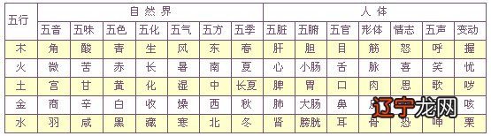 生命密码五行计算方法_生命密码五行健康解读