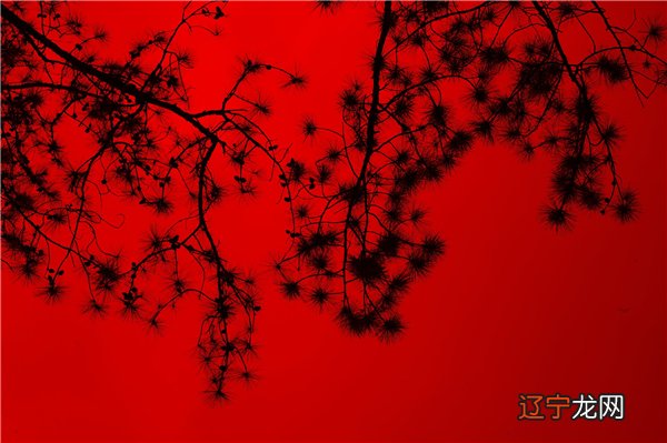 女人梦见手指割破流血的原因有哪些?你知道吗?