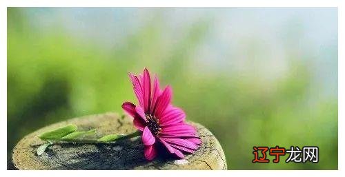 风水堂：哪些年份欠佳，事业发展平平