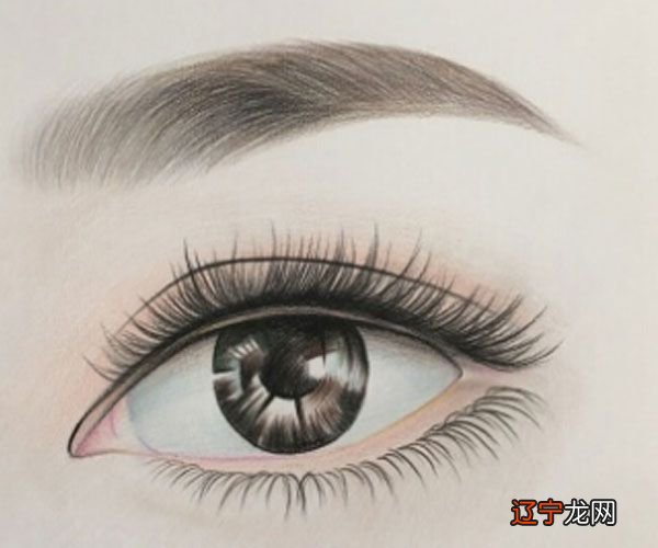 五官面相算命图解:了解面相从五官开始