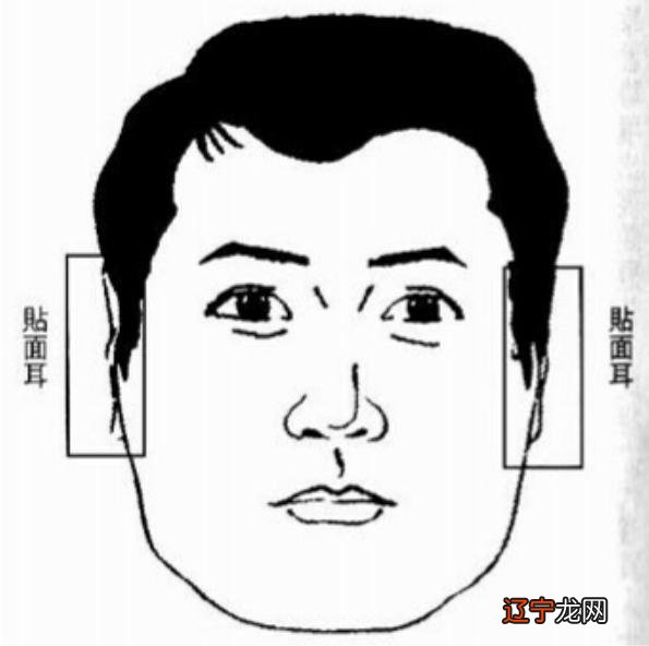 面相五官看相算命图解