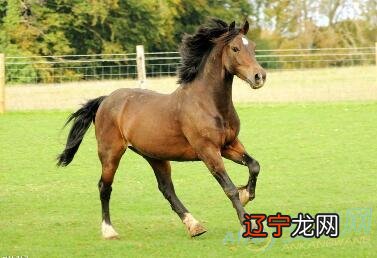 风水堂:梦见跑步,会遭厄运