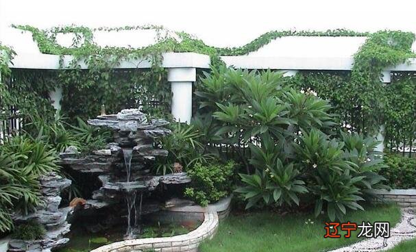 楼房前后空地上都种著大的很高的,风水