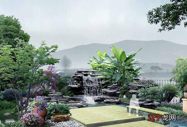 楼房前后空地上都种著大的很高的,风水