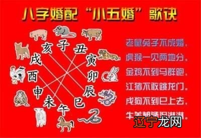 属猴的婚配属相哪个好，你知道这是怎么回事吗