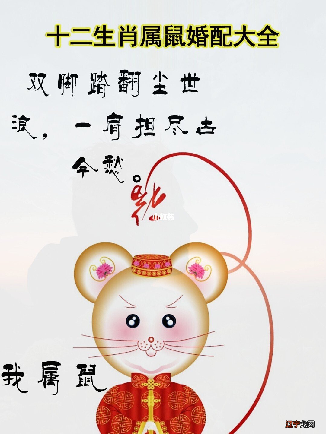 十二生肖婚姻配对吉凶 找最合适的婚配对象