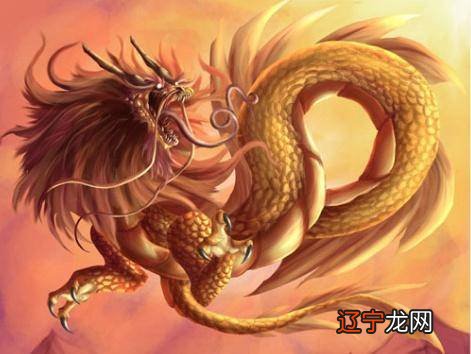 88年属龙哪一年运气好阳历1988年9月9号是阴历多少号